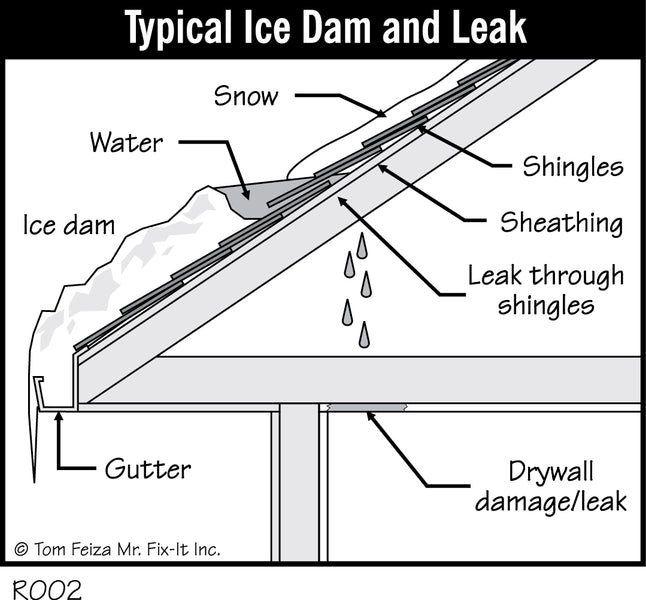 The Ice Dam Cometh - Smart Inspector Science